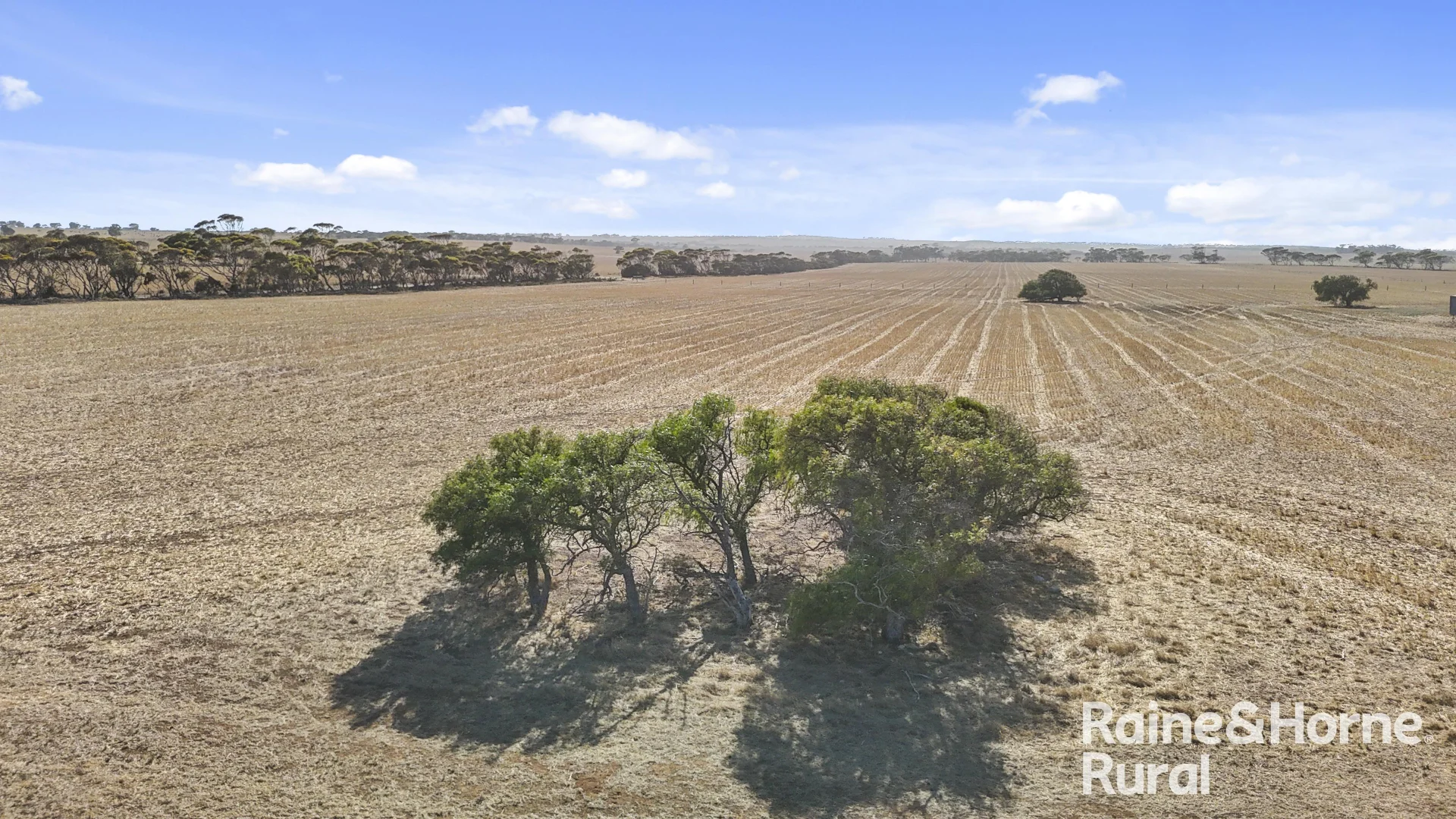 Additional image 21 of A50 Harvey Road, Woodchester SA 5255