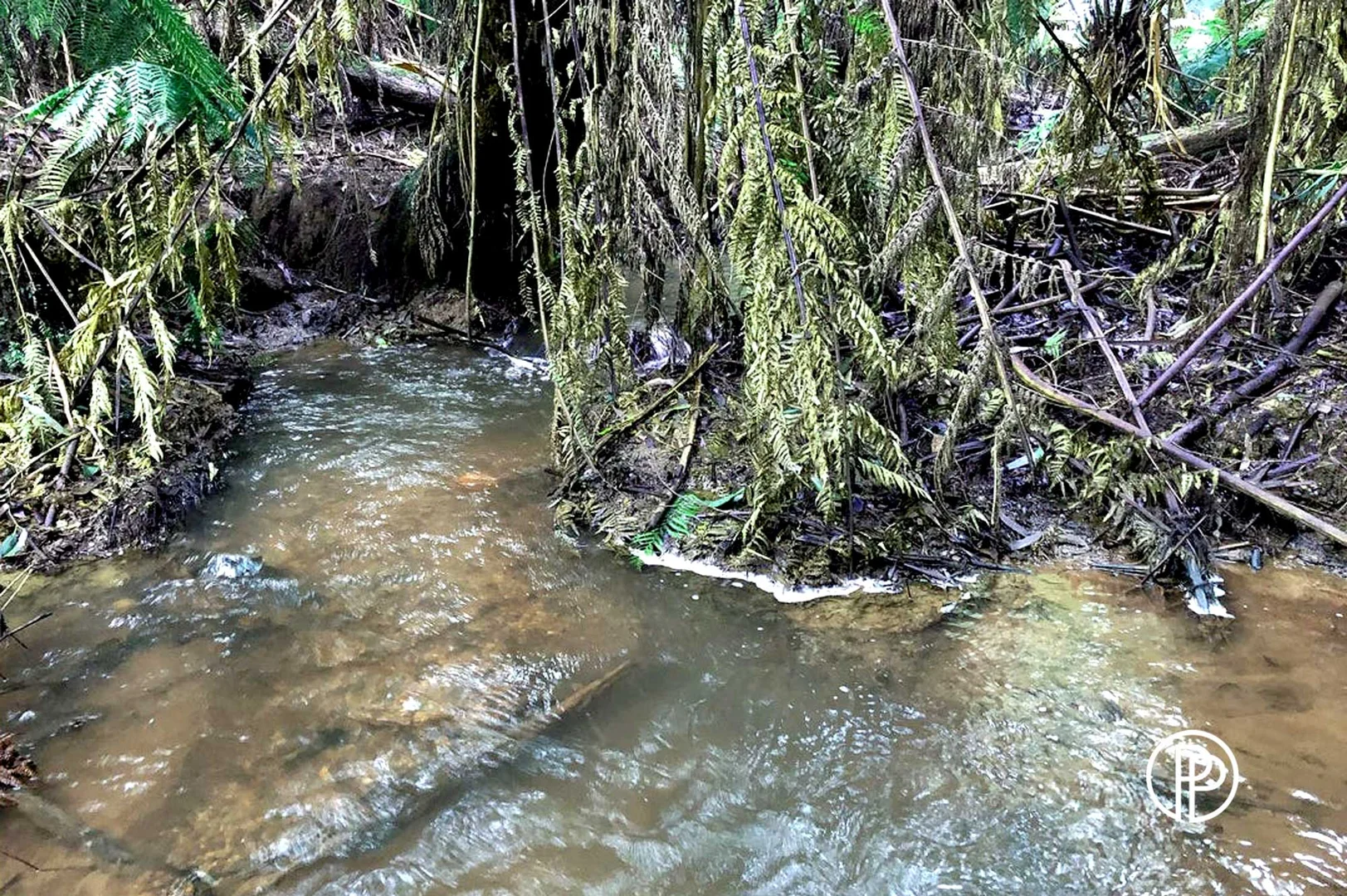 Additional image 9 of 330 Prices Road, Gladysdale VIC 3797