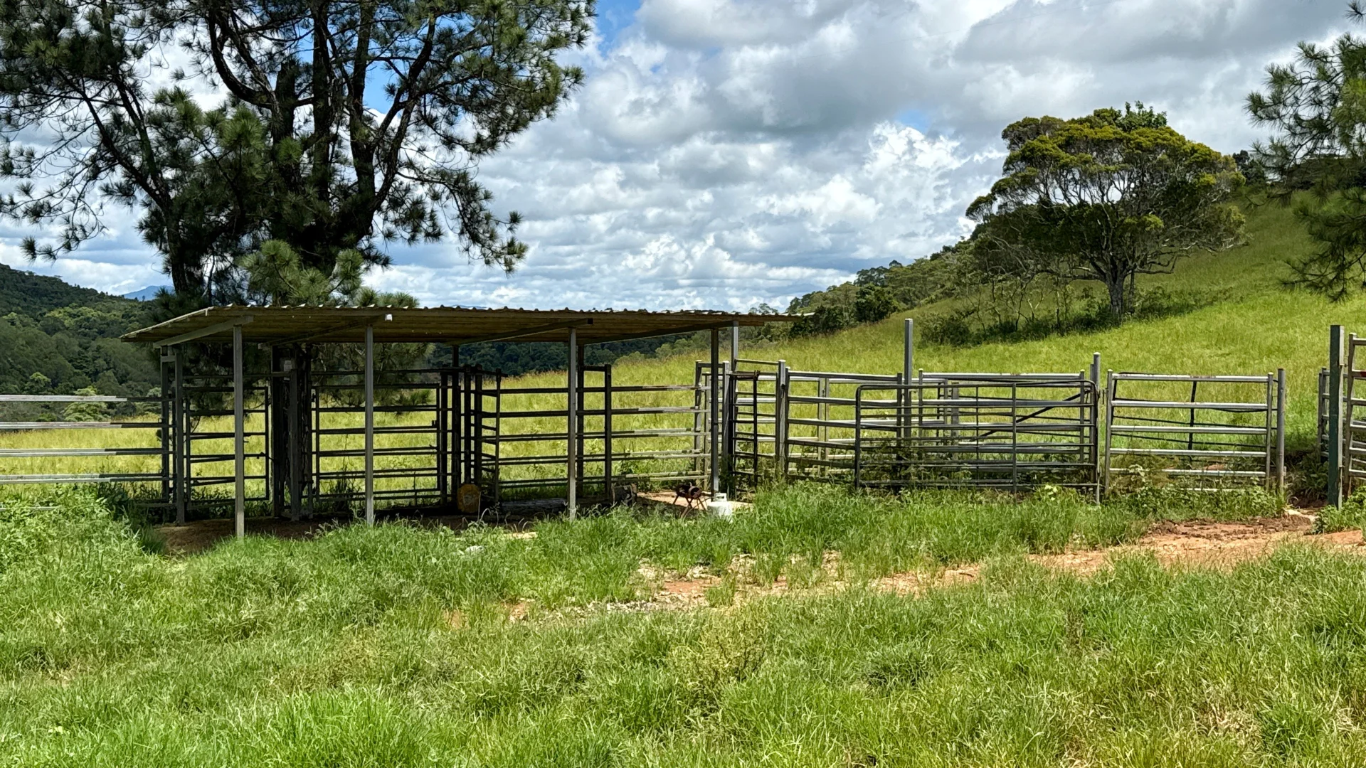 Additional image 4 of 273 Hitchconole Road, Tarzali QLD 4885