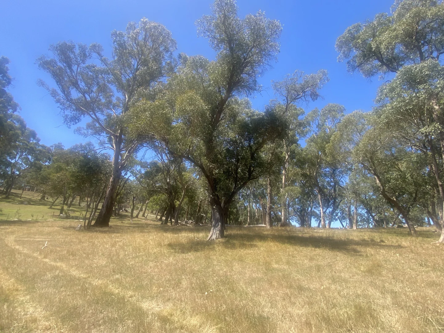 Additional image 8 of 25 Beattie Road, Oberon NSW 2787