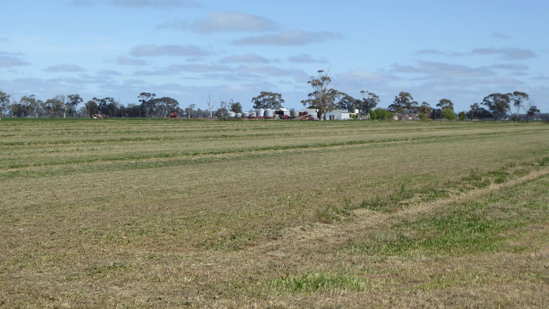 Additional image 12 of 139 Packer Road, Bordertown South SA 5268