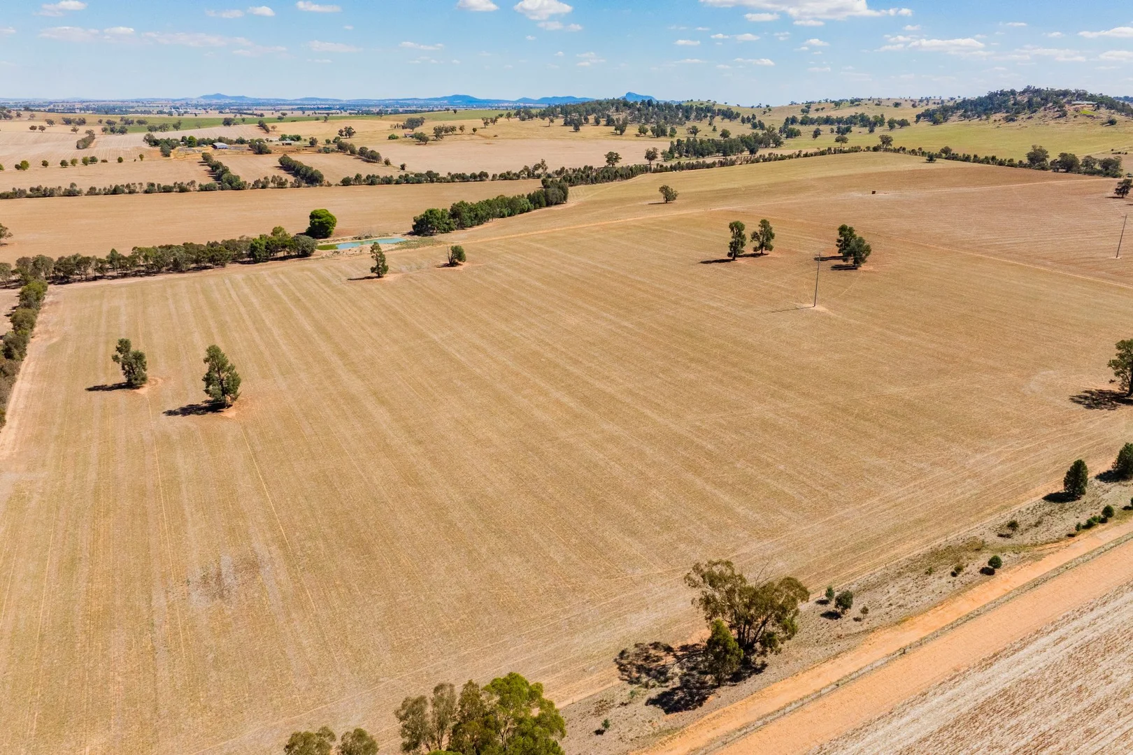 Additional image 5 of 226 Cloughs Road, Wagga Wagga NSW 2650