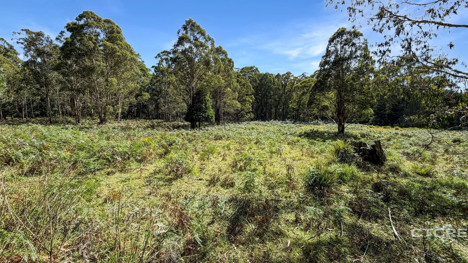 Additional image 12 of 12F & 12G Minchins Track, Bonang VIC 3888