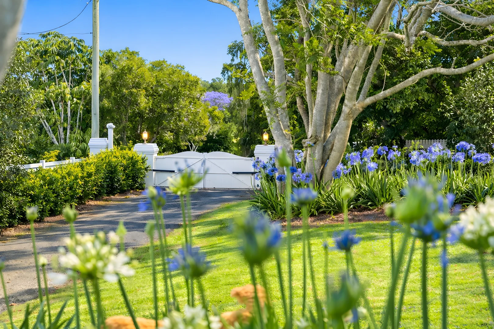 Additional image 7 of 44-52 Hartley Road, Tamborine Mountain QLD 4272