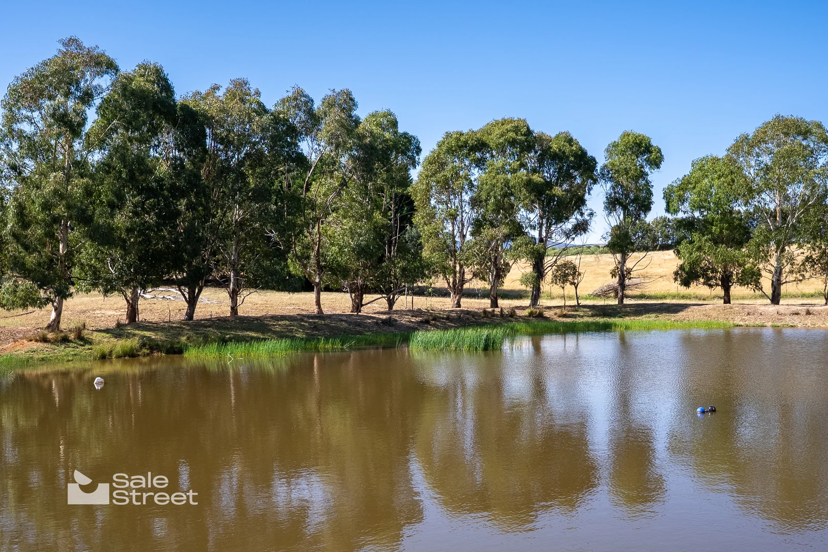 Additional image 38 of 90 Convent Lane, Borenore NSW 2800