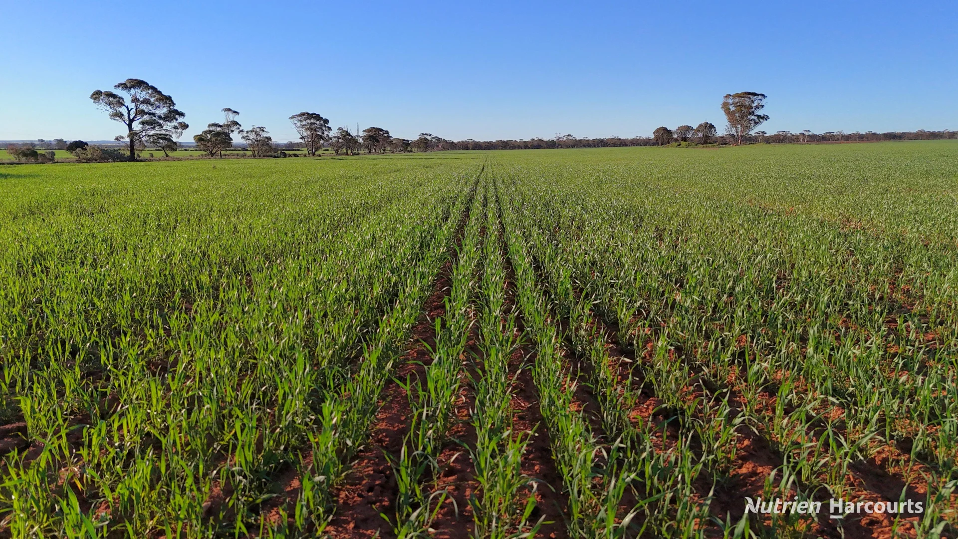 Additional image 3 of Lot 379 Garratt Road, Southern Cross WA 6426