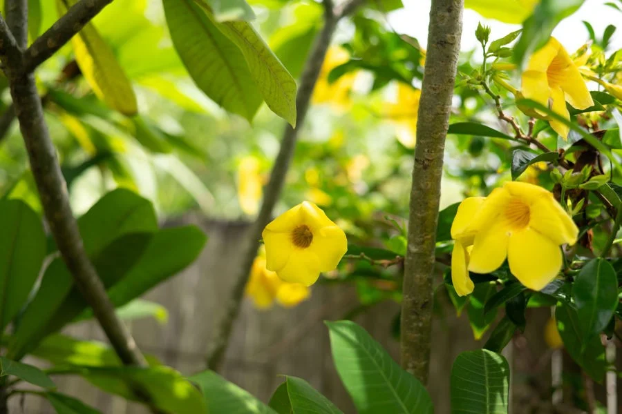 Additional image 27 of 53 The Boulevarde, Mullaway NSW 2456