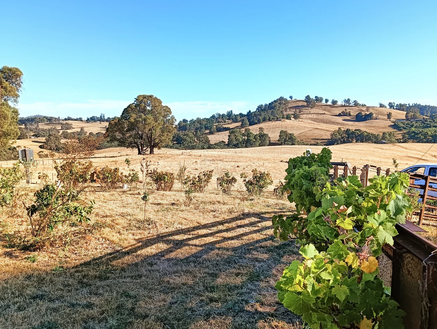 Additional image 15 of 160 Keenans Road, Batlow NSW 2730