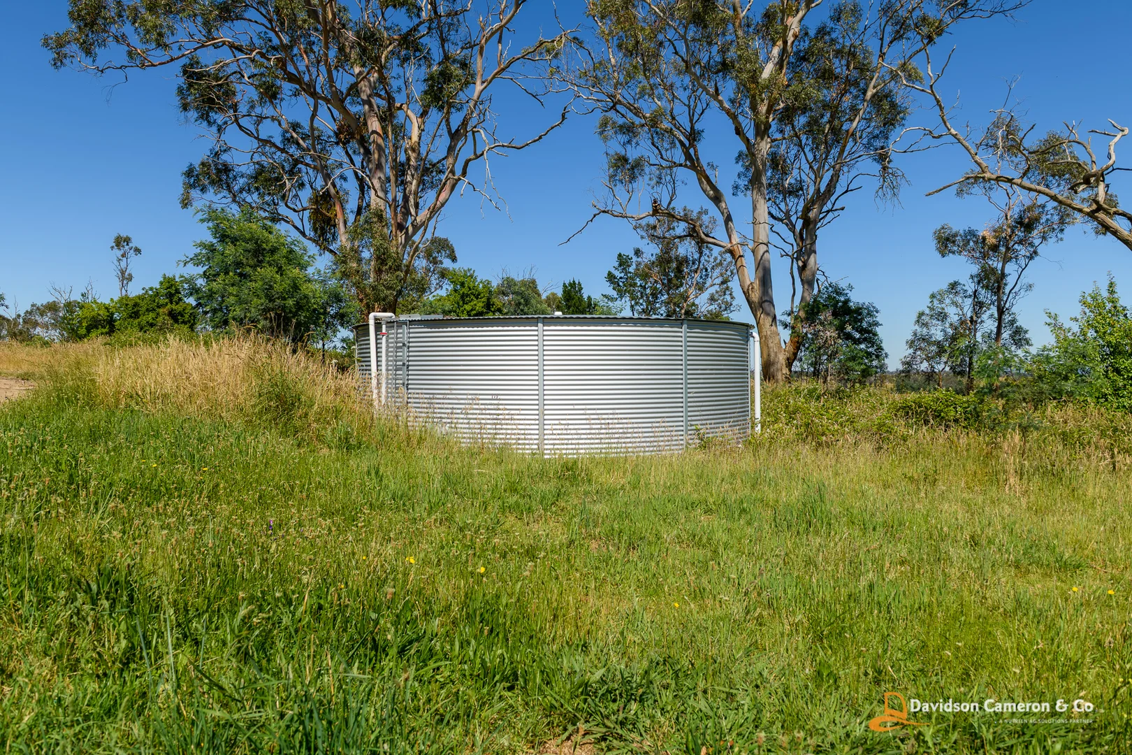 Additional image 17 of "Nandewar" 200 Burtons Lane, Kentucky NSW 2354