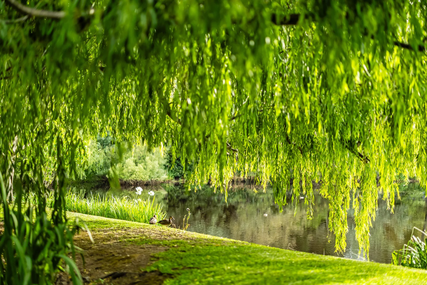 Additional image 40 of 30 Coromandel Road, Aldgate SA 5154