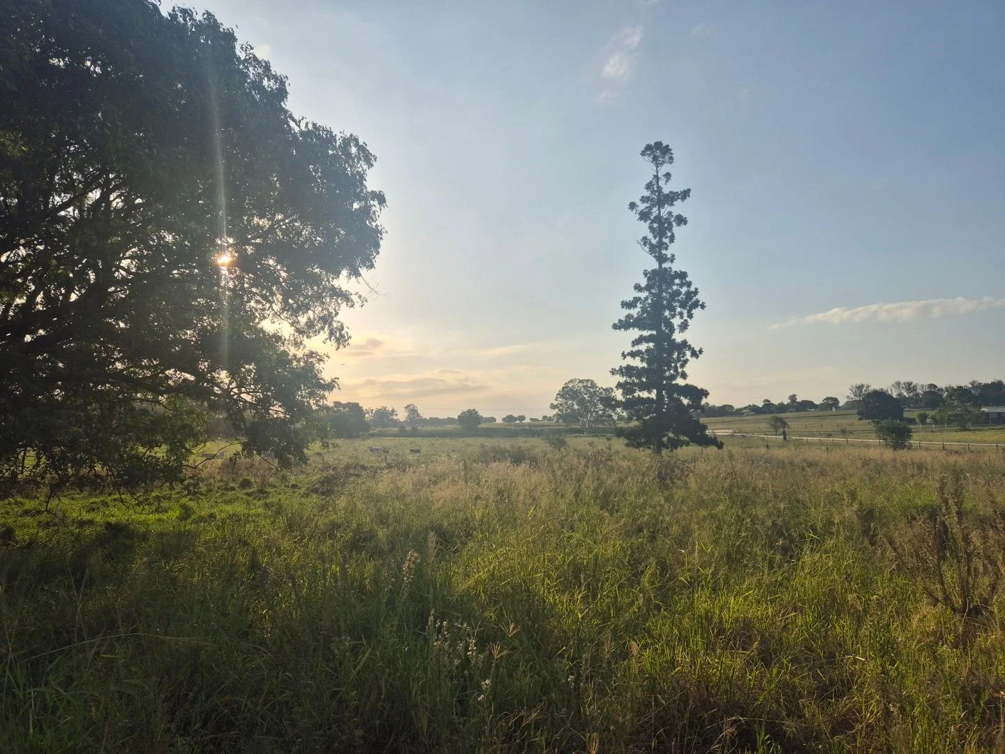 Additional image 8 of 167 Linnings Rd, Haigslea QLD 4306