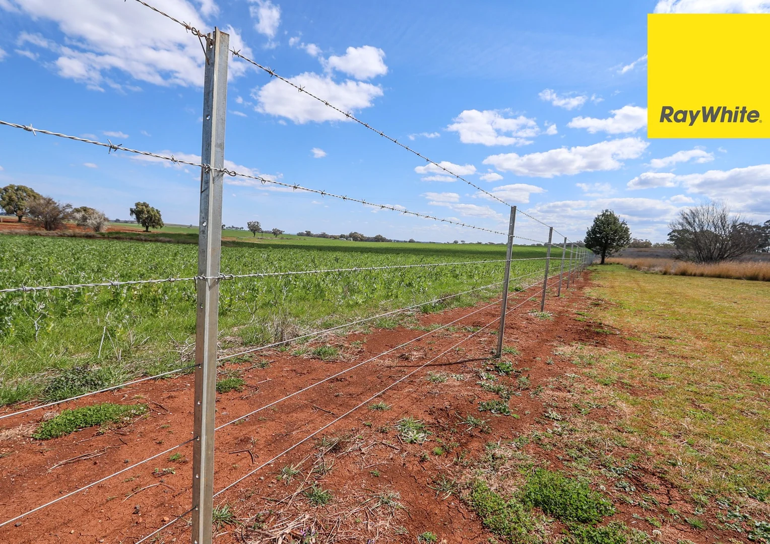 Additional image 20 of 11 Delungra Bypass Road, Inverell NSW 2360