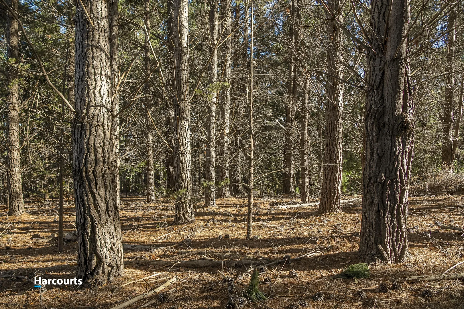 Additional image 13 of 38 Autumn Road, Cradoc TAS 7109