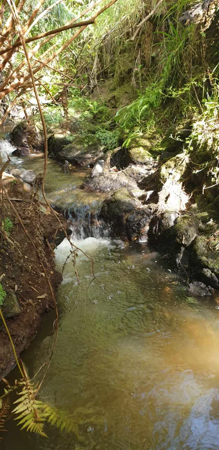 Additional image 6 of 175 Denhams Road, Hallston VIC 3953