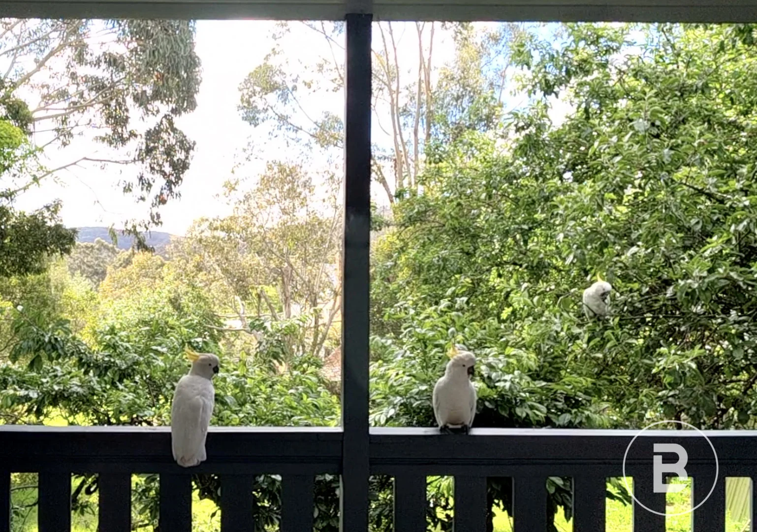 Additional image 27 of 1069 Greendale Trentham Road, Blackwood VIC 3458