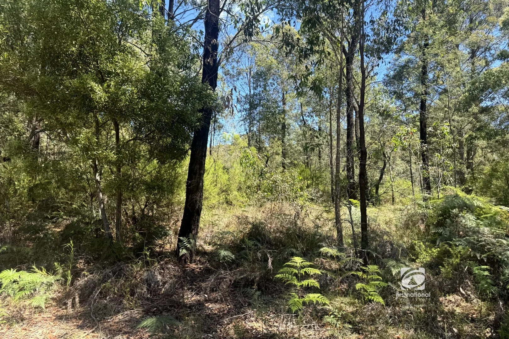 Additional image 10 of 139 Buchan South Road, Buchan South VIC 3885