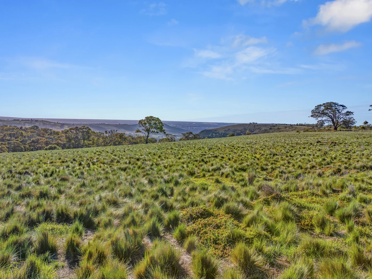 Additional image 5 of Lot 1\TP340748 Ironbark Road, Maddingley VIC 3340