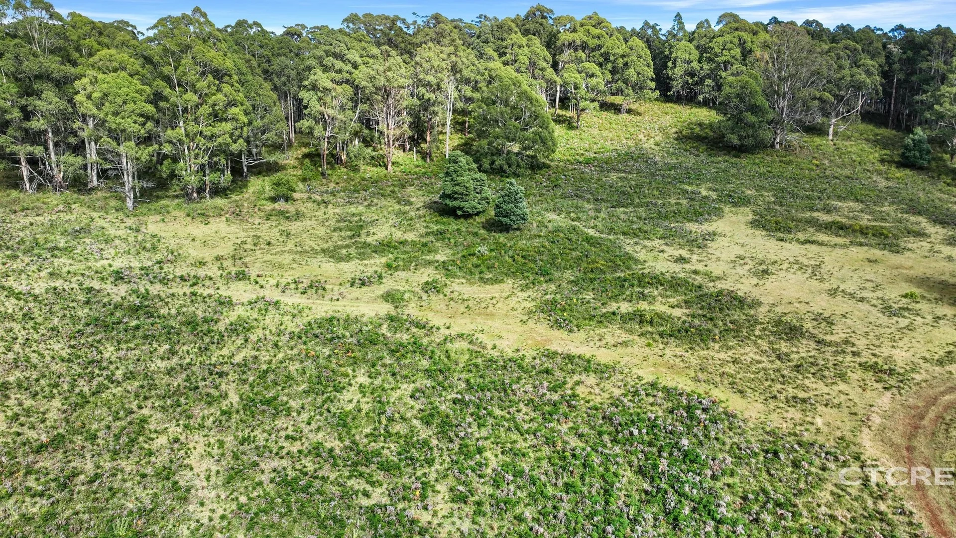 12F & 12G Minchins Track, Bonang VIC 3888