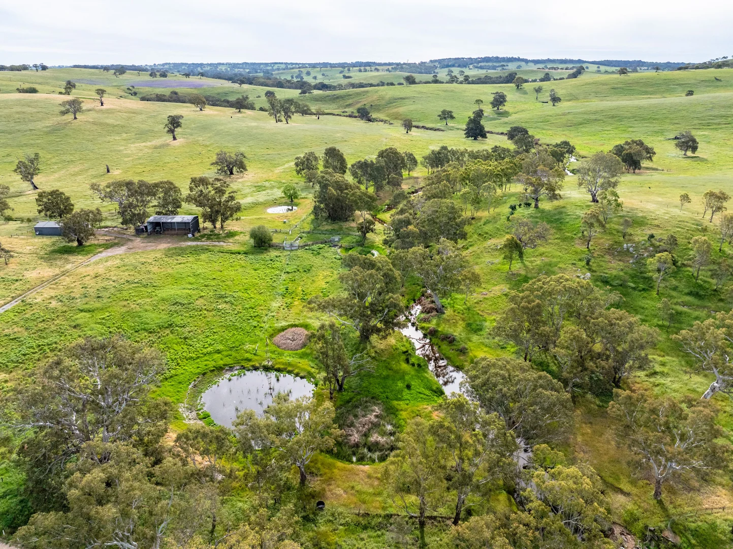 Additional image 4 of 312 Collins Road, Tungkillo SA 5236