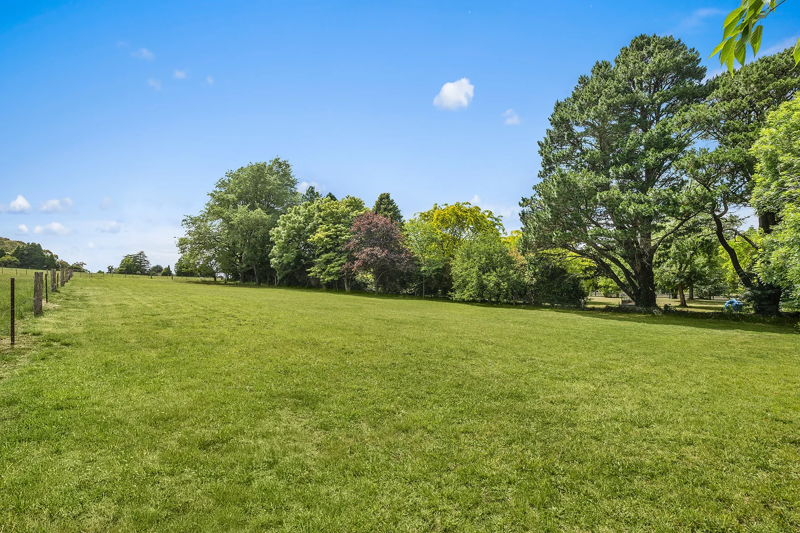 Additional image 9 of 85 Ringwood Road, Exeter NSW 2579