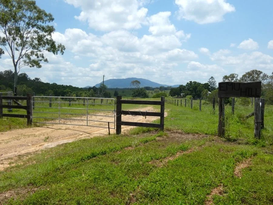 Additional image 3 of 1097 Blackman Gap Road, Colosseum QLD 4677