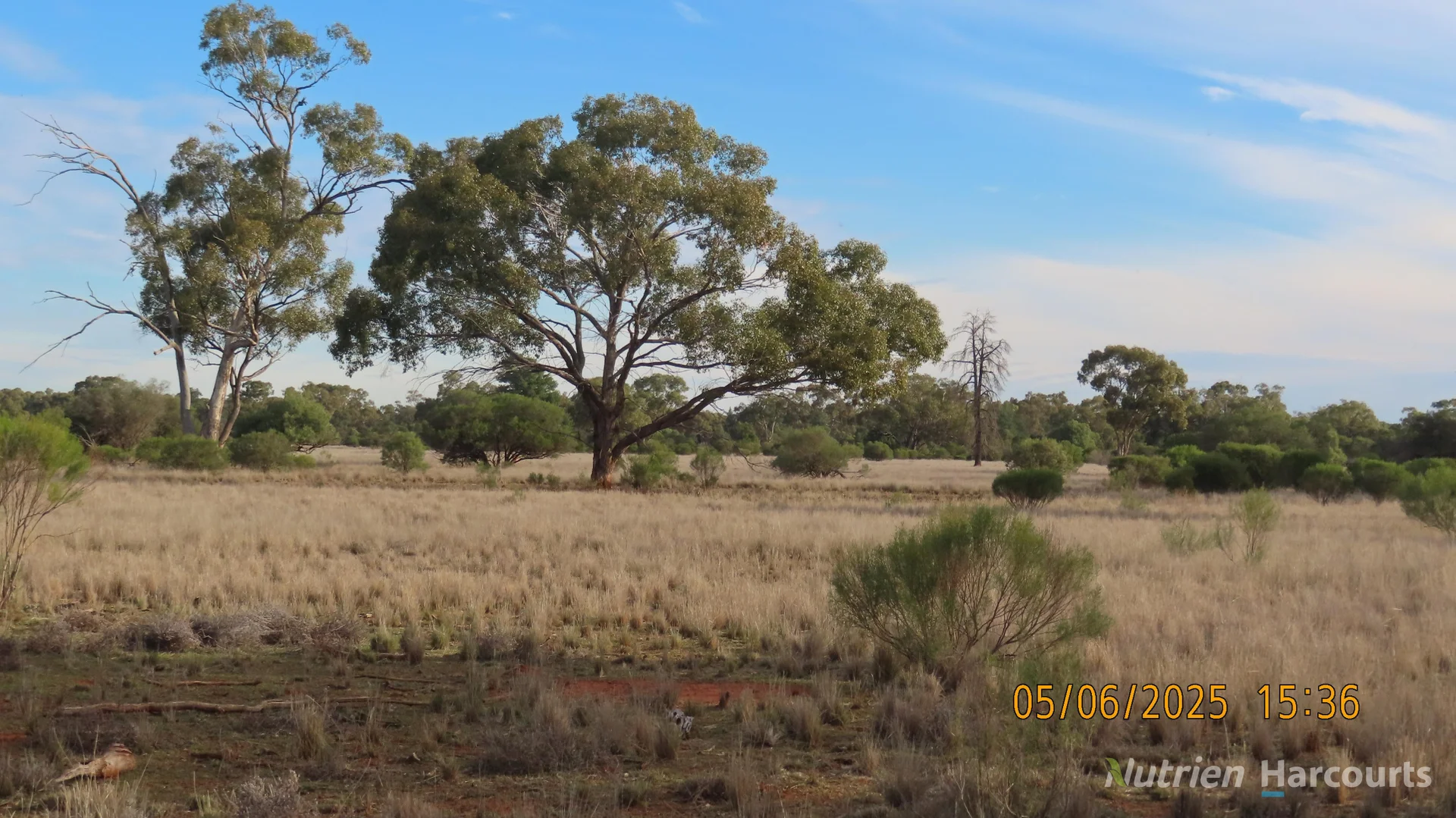 Additional image 2 of * YARRANVALE, Nymagee NSW 2831