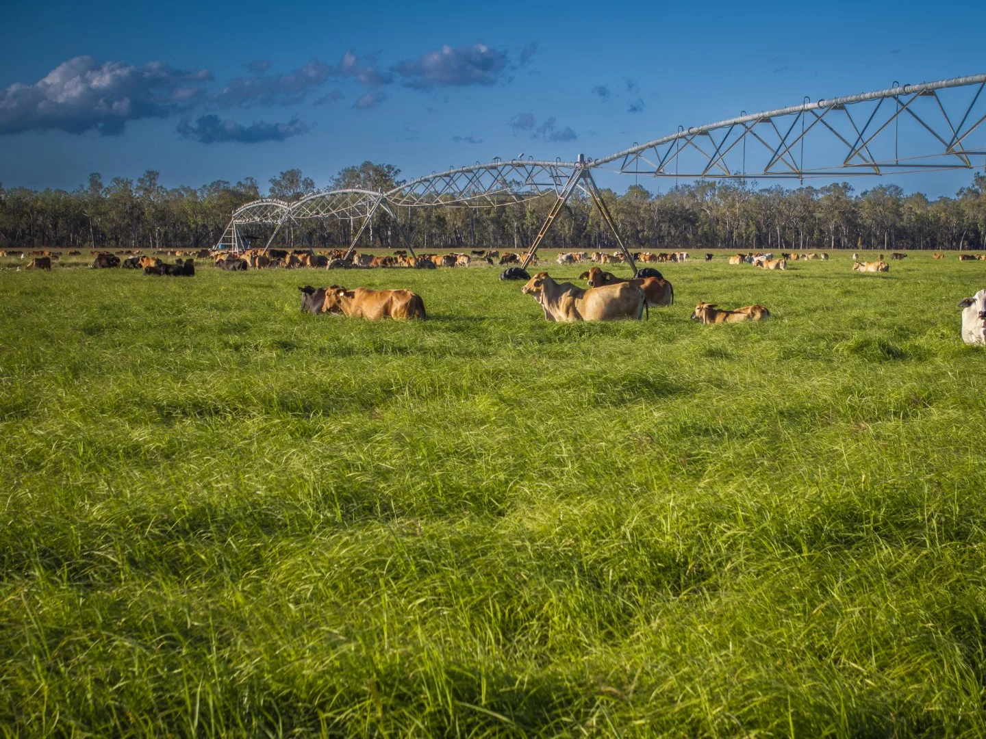 Additional image 33 of 620 Herbert River Road, Innot Hot Springs QLD 4872