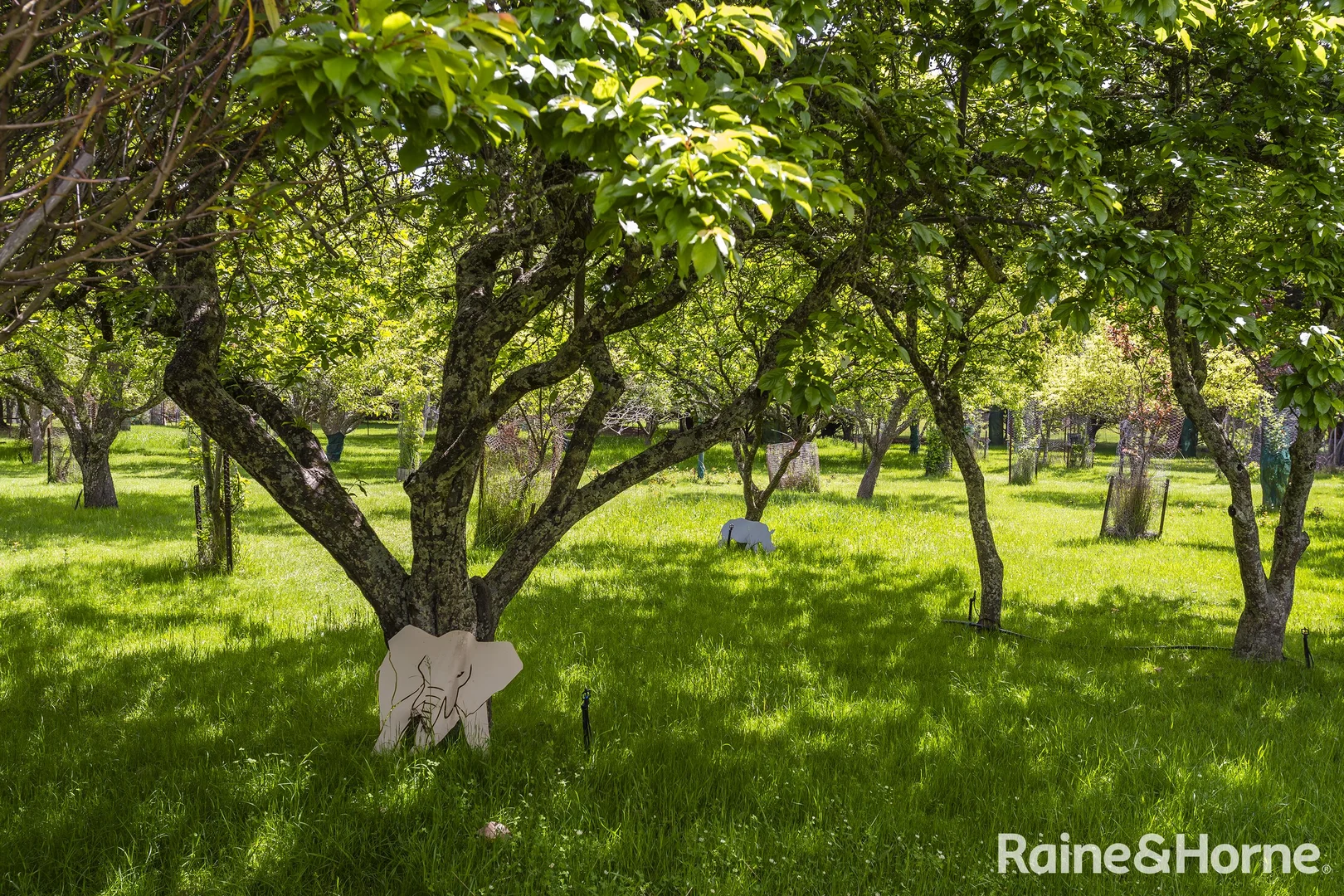 Additional image 51 of 545 Kyneton Springhill Road, Kyneton South VIC 3444