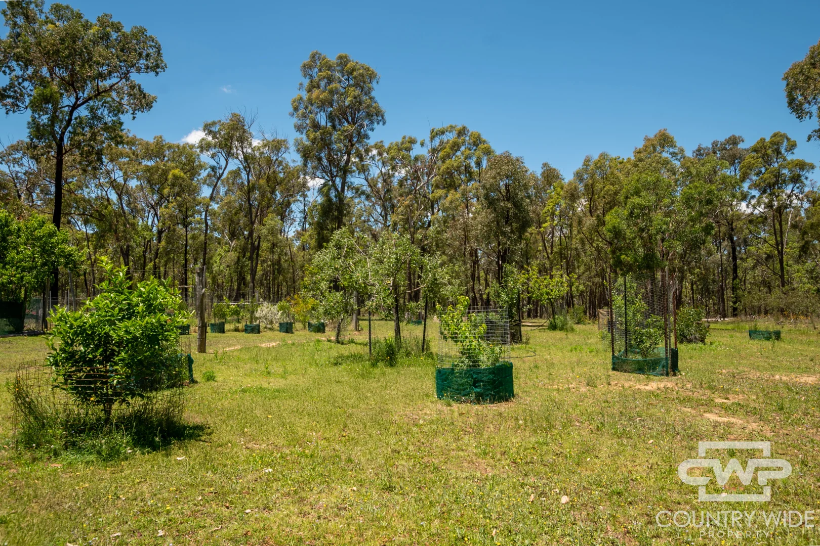 Additional image 21 of 137 Aberdeen Road, Gilgai NSW 2360