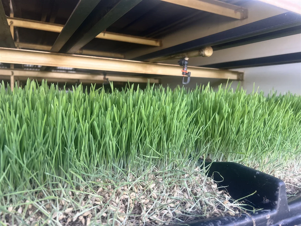 Additional image 4 of 4185 Moonie Highway, Ducklo QLD 4405