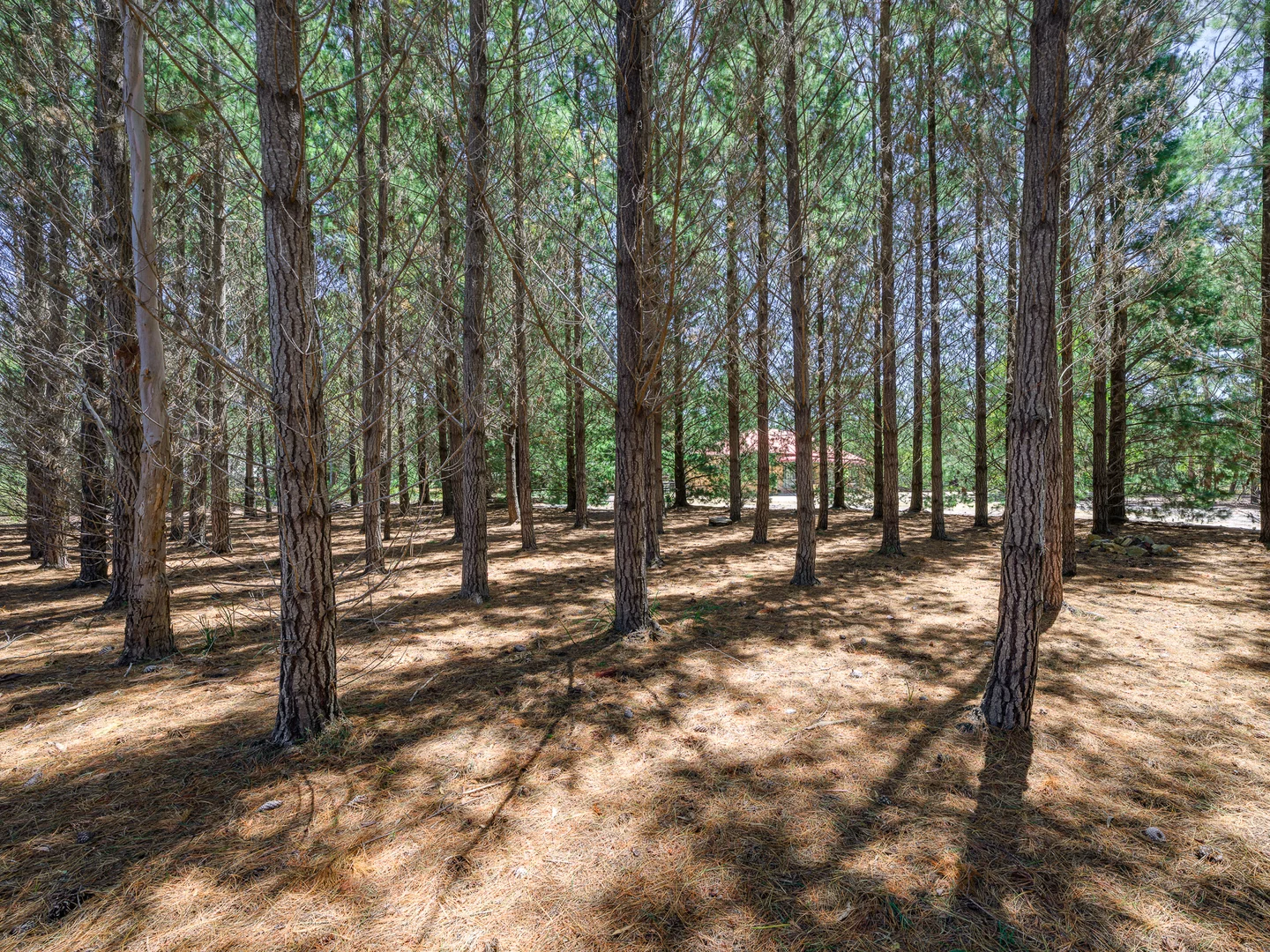 Additional image 31 of 169 Tully Street, St Helens TAS 7216