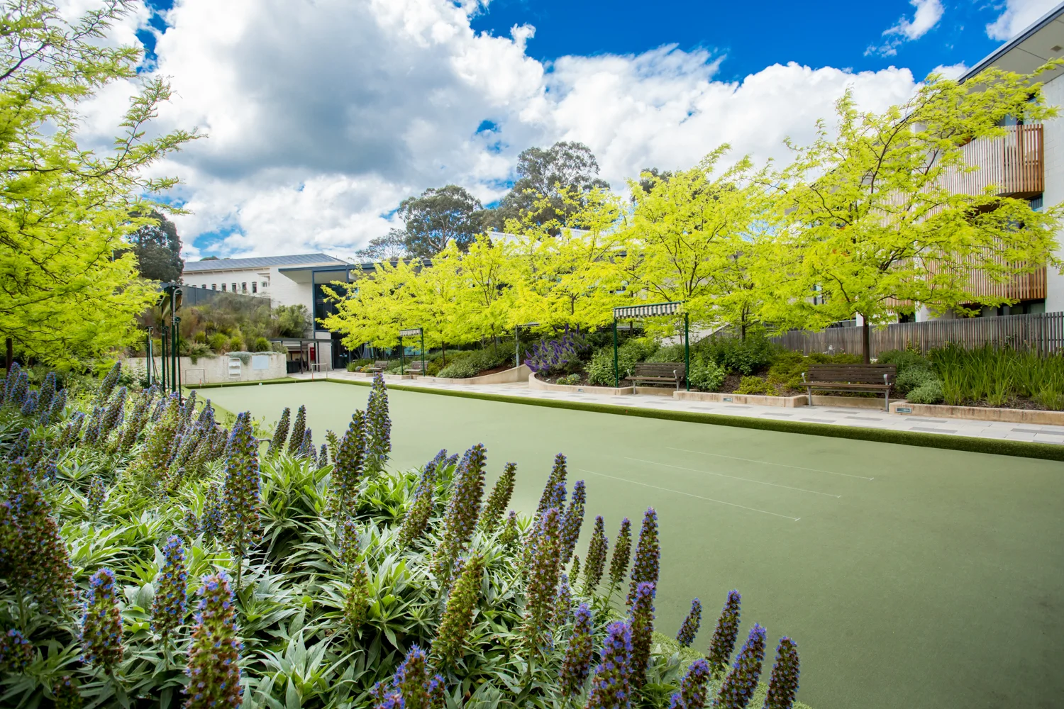 Additional image 4 of 70/502-514 Burwood Highway, Vermont South VIC 3133