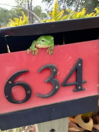 Additional image 34 of Moolboolaman QLD 4671