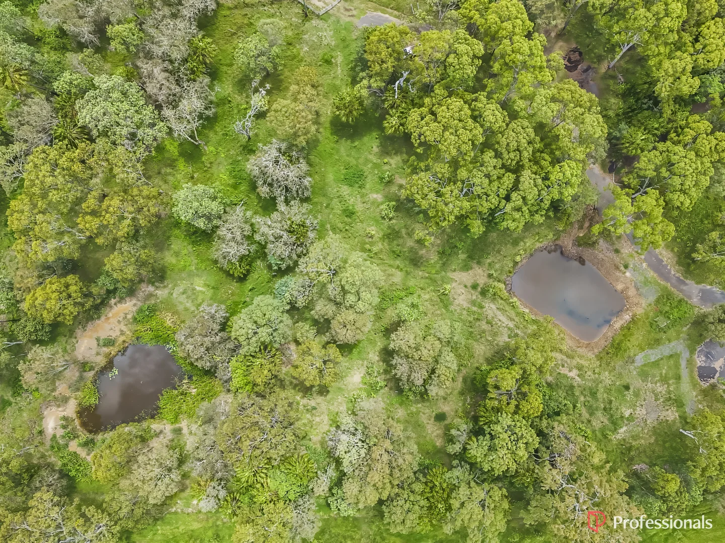 Additional image 4 of 1161 Tanby Road, Tanby QLD 4703