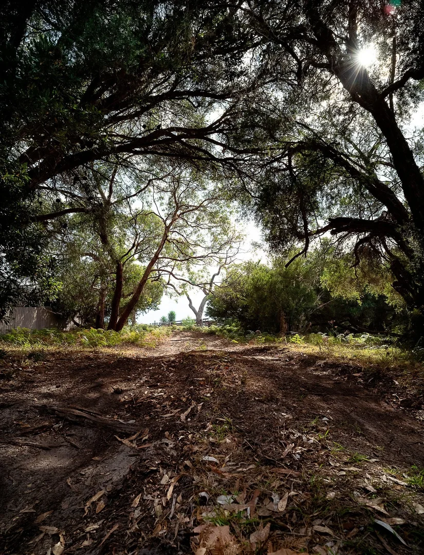 Additional image 6 of 139 Toorak Avenue, Loch Sport VIC 3851