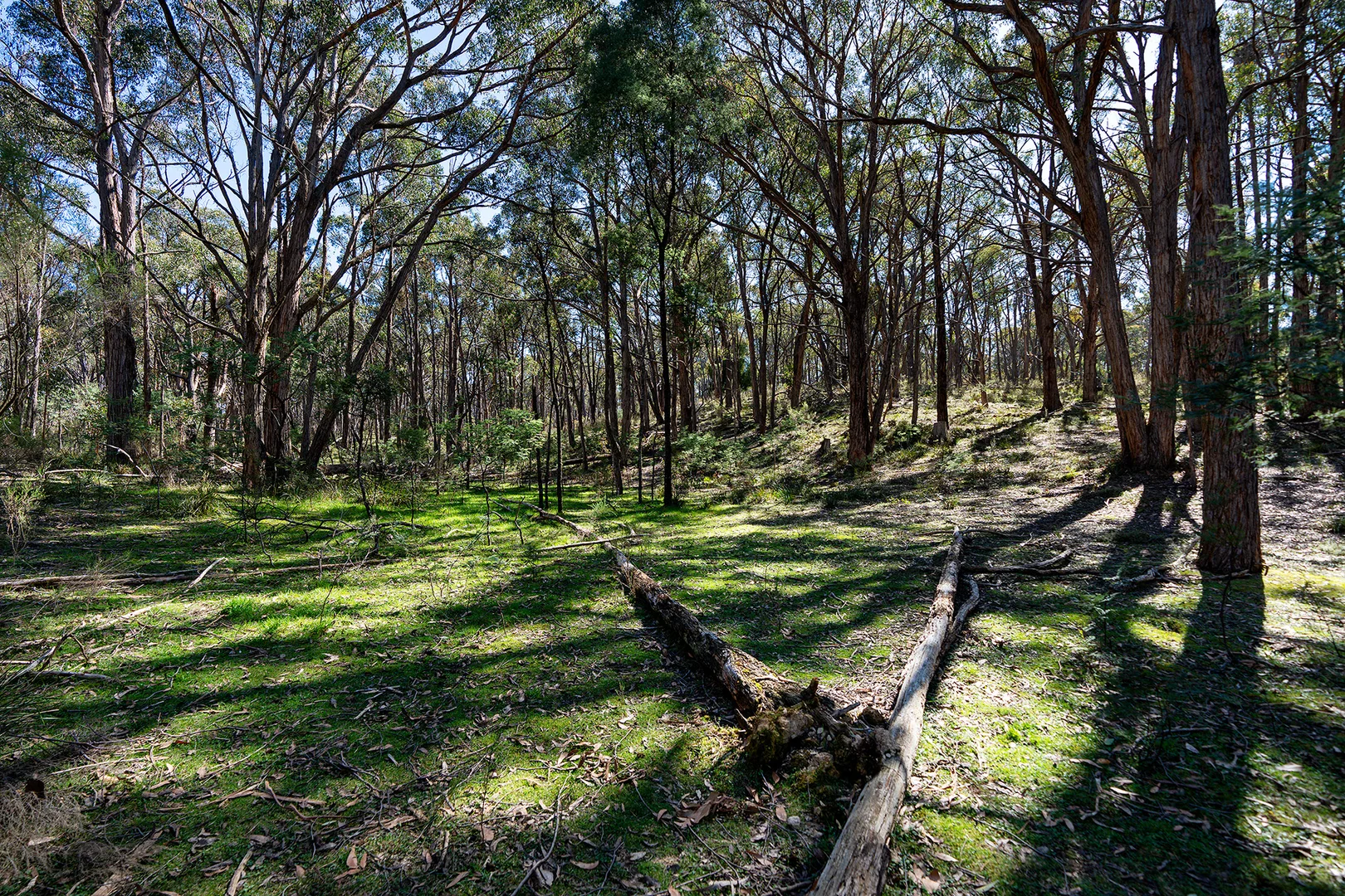 Additional image 9 of 255 Taradale Road, Drummond North VIC 3446