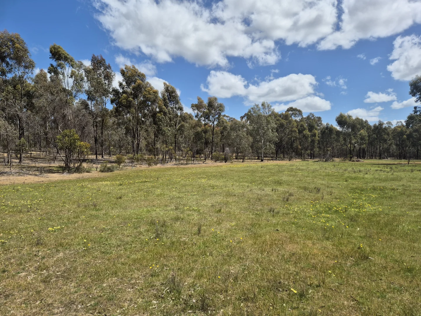 Additional image 6 of Lot 3 Gellibrand Tonks Road, Earlston VIC 3669