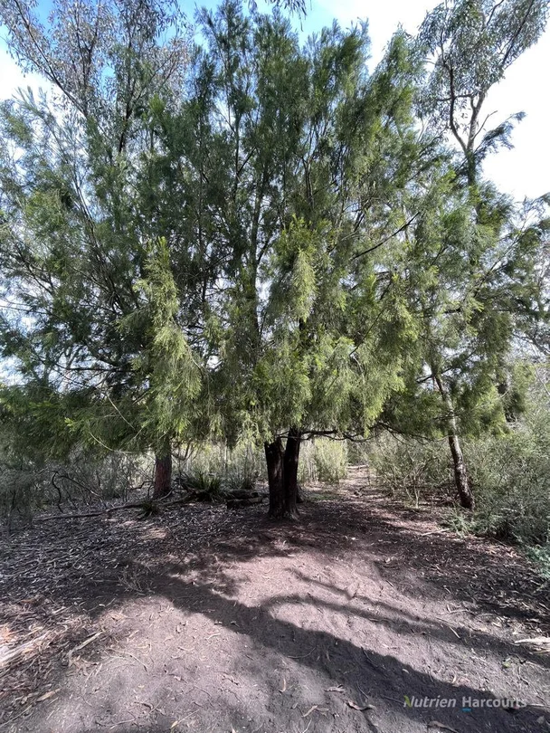 Additional image 12 of . South Gippsland Highway, Woodside VIC 3874