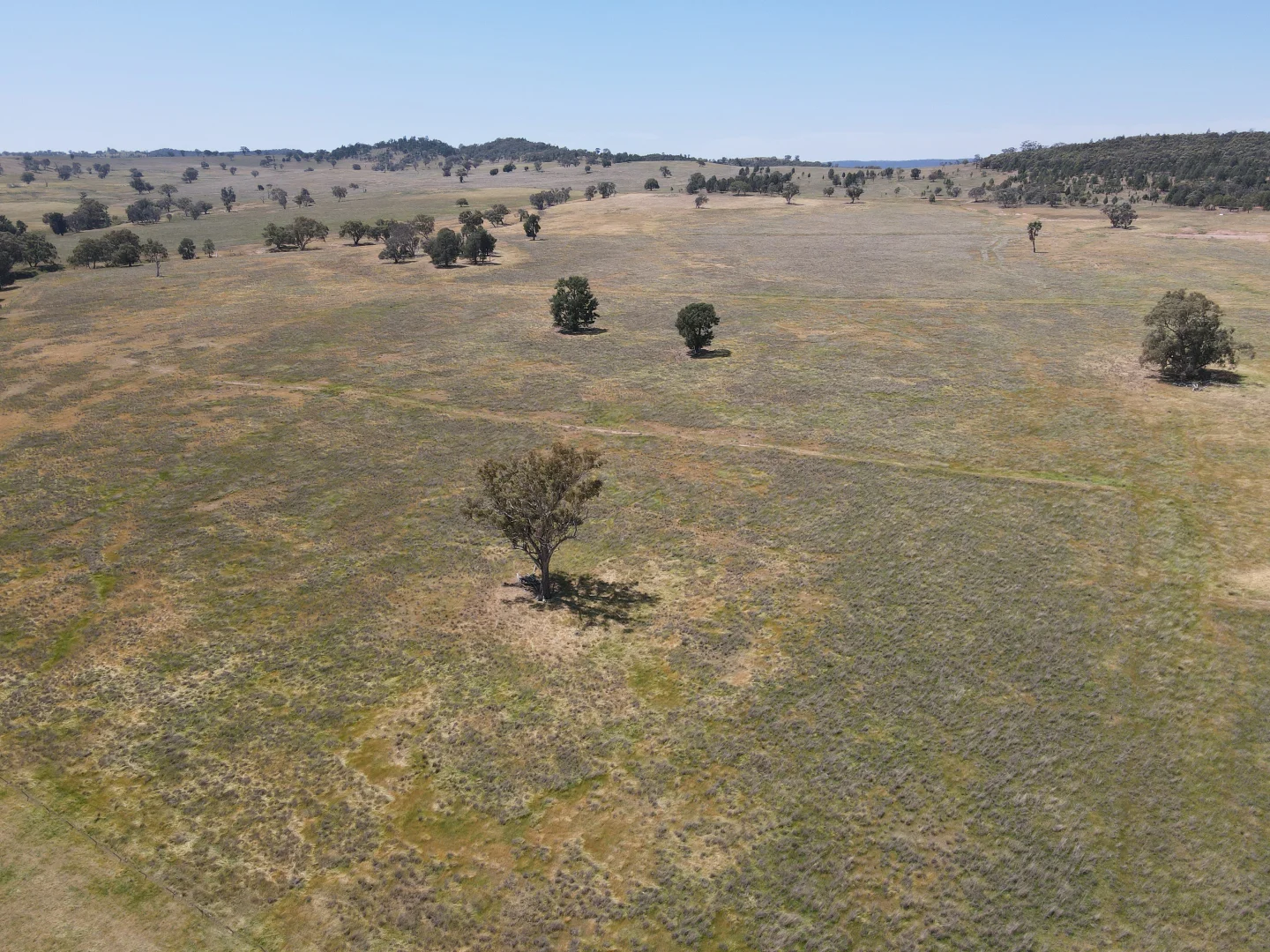 Additional image 6 of "Babynda" 829 Eulimore Road, Eugowra NSW 2806