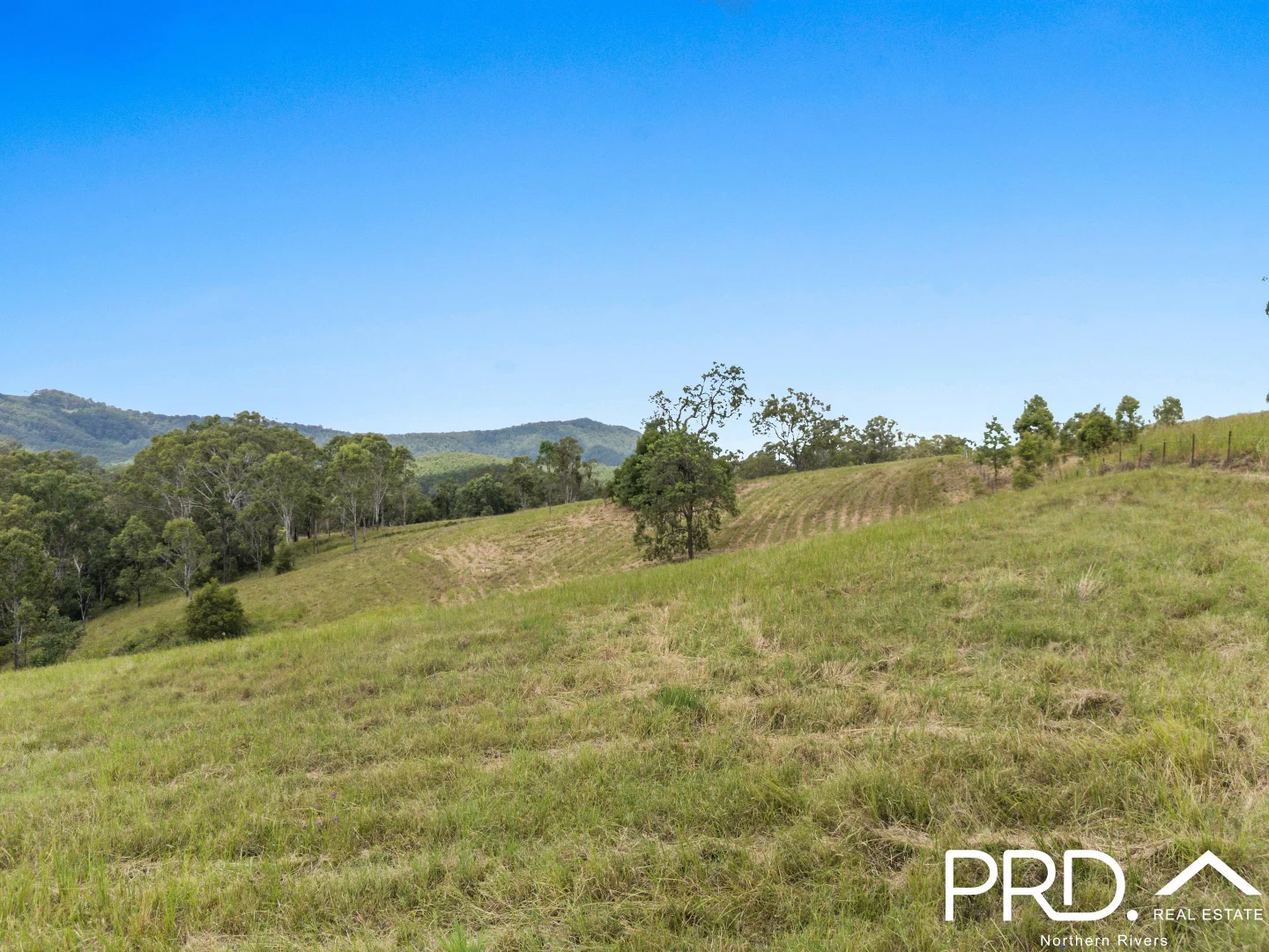 Additional image 13 of 130 Homeleigh Road, Homeleigh NSW 2474