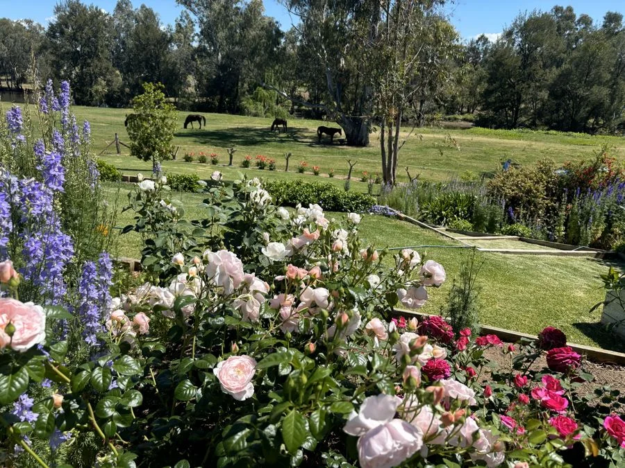 Additional image 19 of 21 Keera Street, Bingara NSW 2404