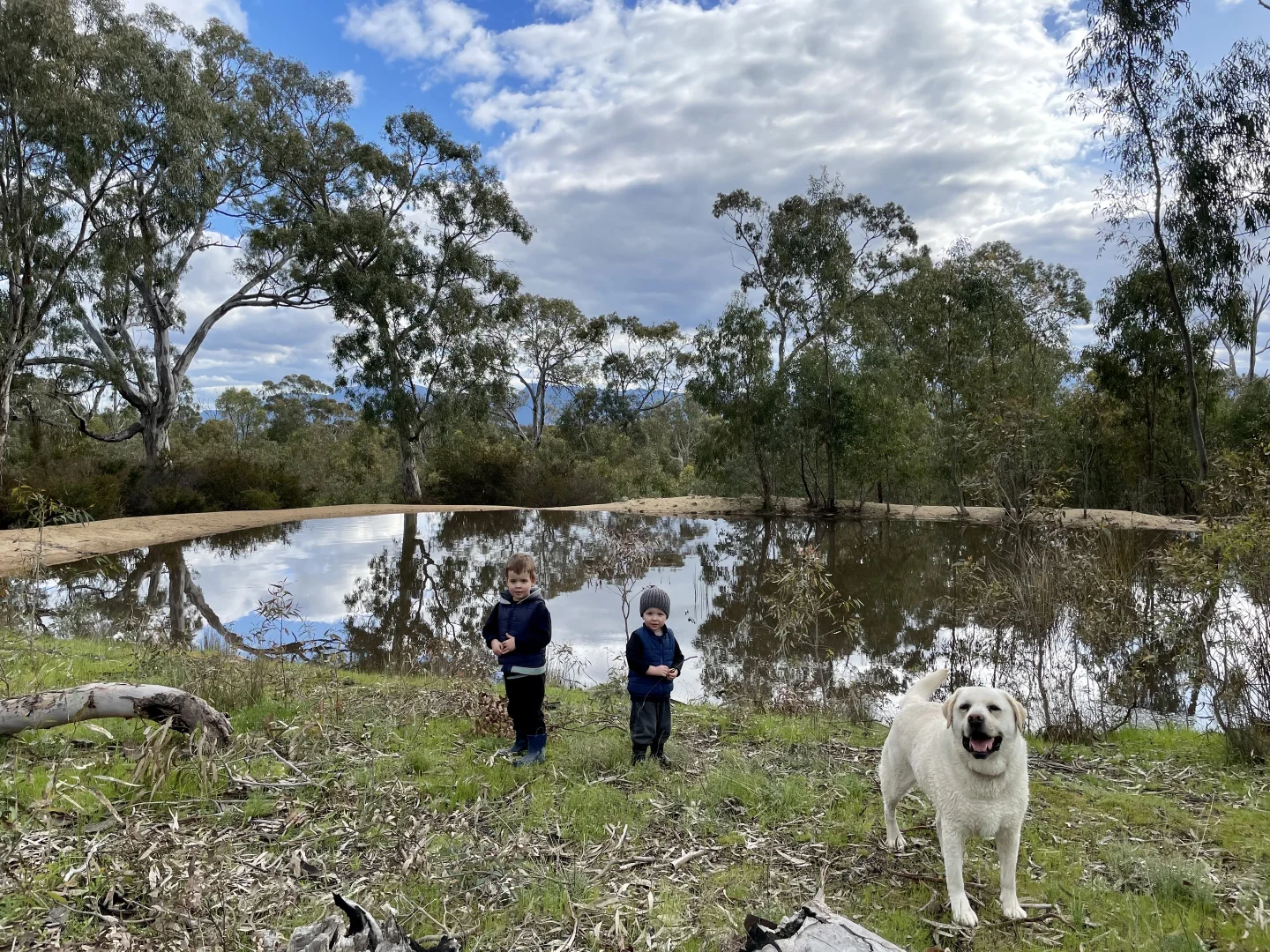 Additional image 5 of 605 Bunjils Cave Road, Black Range VIC 3381