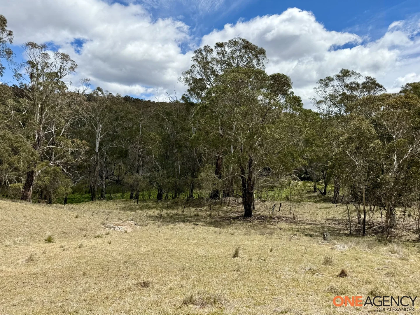 Additional image 16 of Lots 73 & 78 / 125 Fistys Lane, Jerangle NSW 2630