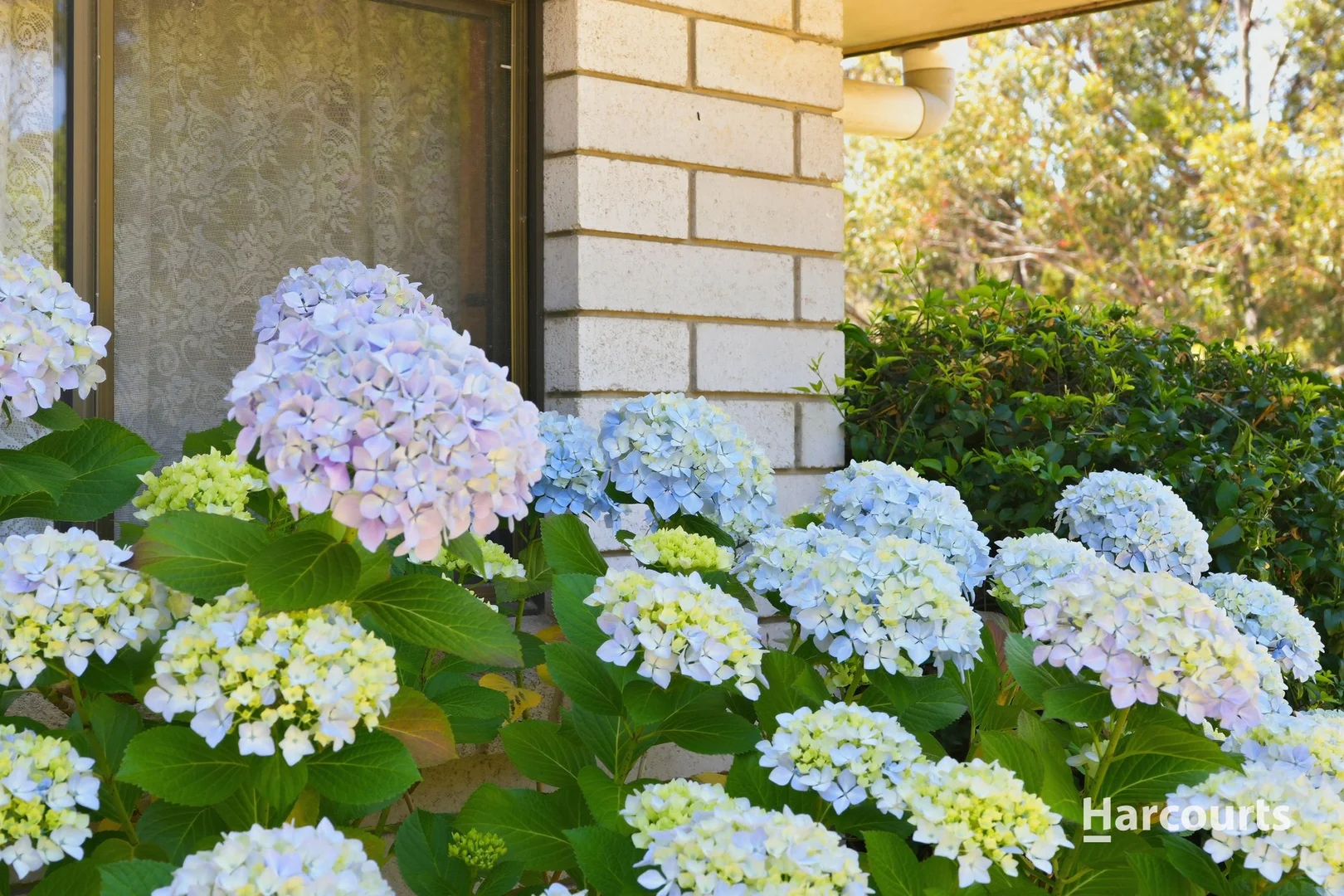 Additional image 23 of 1 Agnes Street, Triabunna TAS 7190