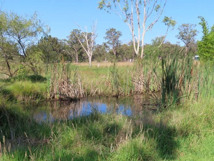 Additional image 29 of 98 McKechnie Road, Stanthorpe QLD 4380