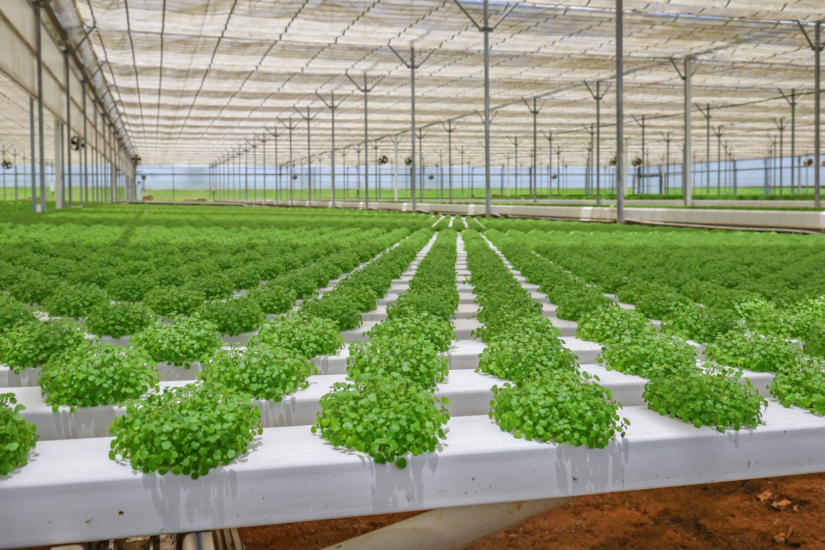 Additional image 16 of 178 Dunns Avenue, Harrisville QLD 4307