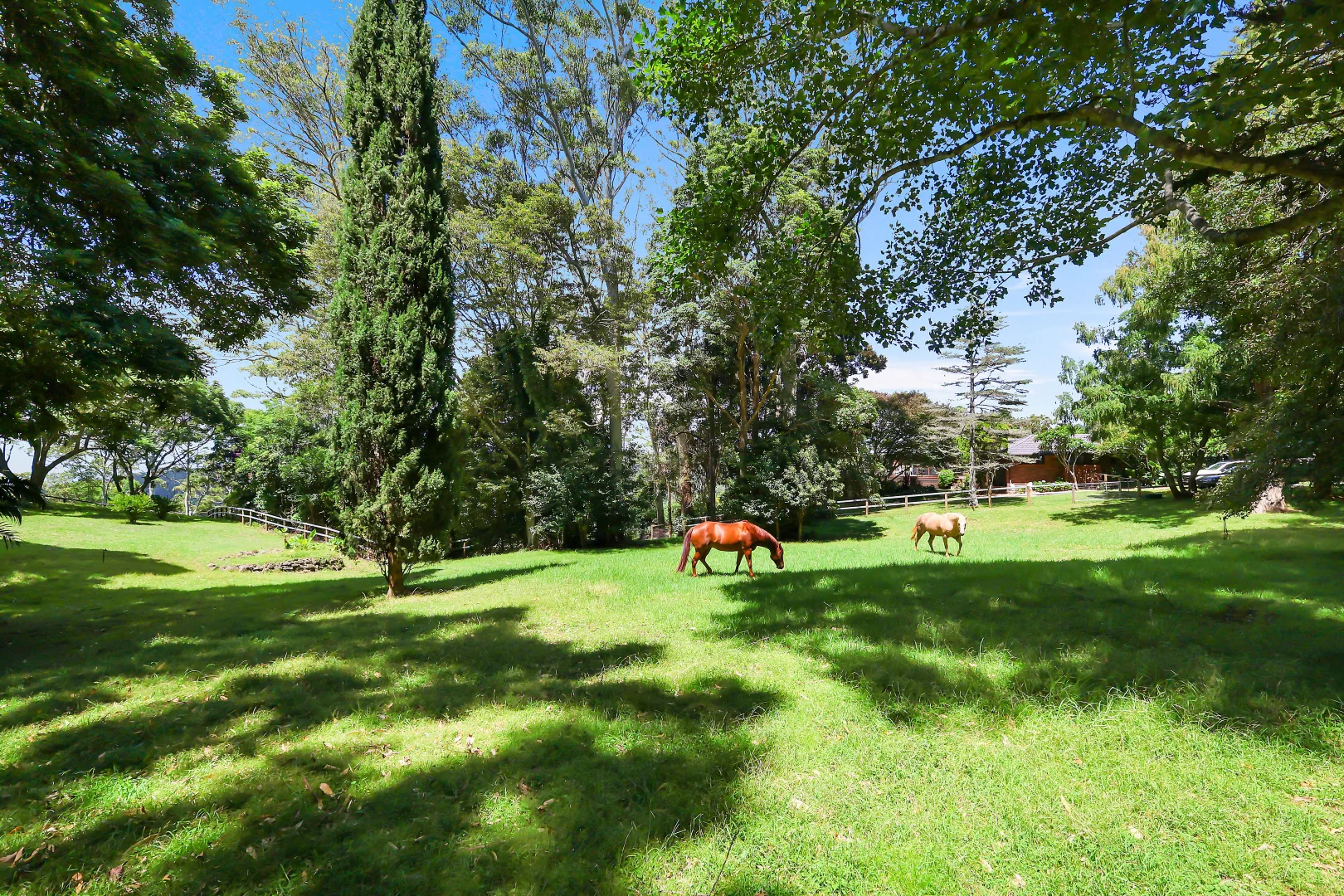 Additional image 8 of 22 Bartle Road, Tamborine Mountain QLD 4272