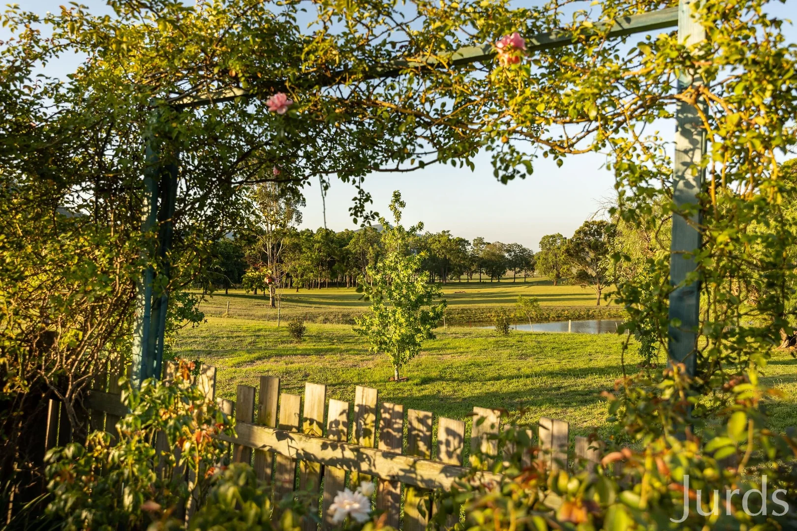 Additional image 29 of 1066 Wollombi Road, Broke NSW 2330