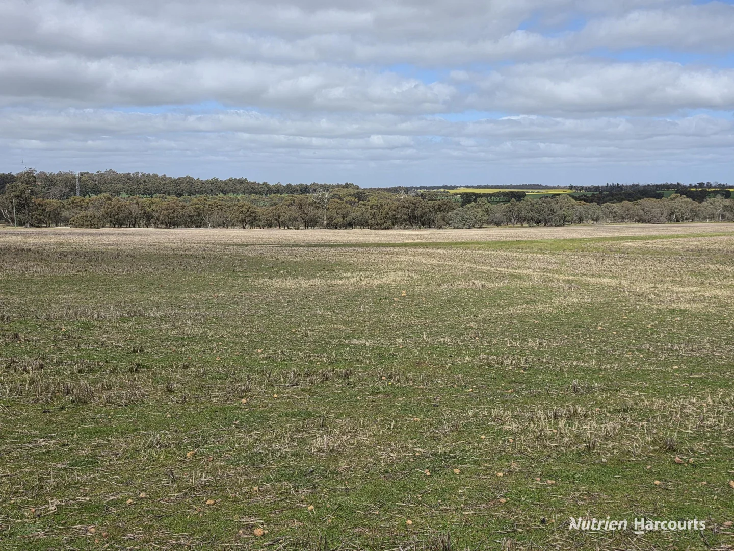 Additional image 23 of Lot 347 Yarralena Road, Cranbrook WA 6321