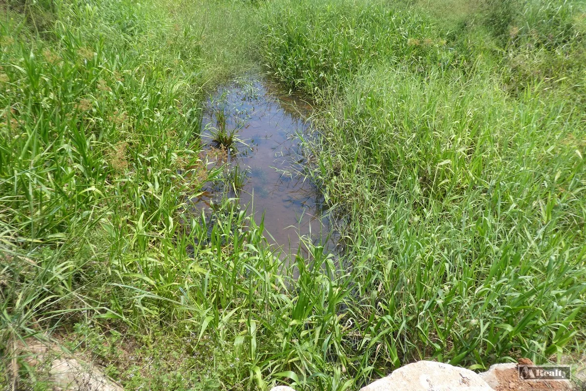 Additional image 15 of Belvedere QLD 4860